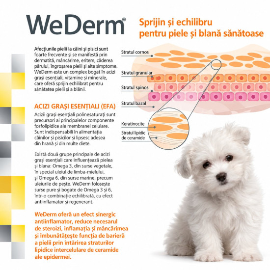 WeDerm solutie lichida, supliment piele si blana caini si pisici, 30 ml